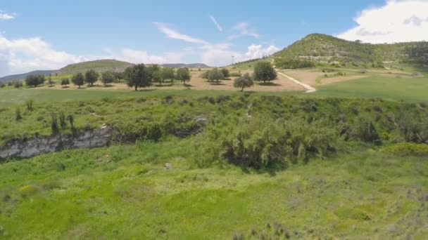 Бесконечное чистое голубое небо, простирающееся над богатыми просторами кипрских лугов — стоковое видео