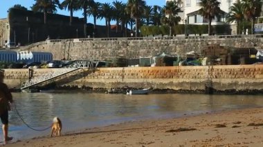 Deniz kıyısında, arka plan taş iskelede leash üzerinde yalınayak kadın yürüyen köpek