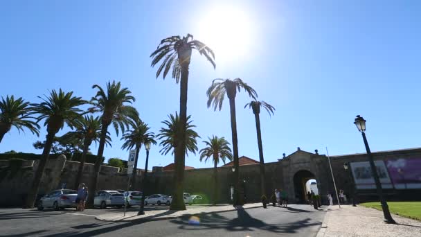 Parkoviště s vysokými palmami před obloukem v posilující zdi, slunečný den — Stock video