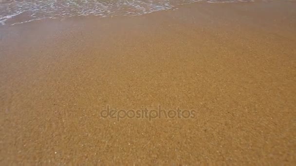 Ondas espumosas rolando rapidamente para a costa com areia dourada e lavando de volta ao oceano — Vídeo de Stock