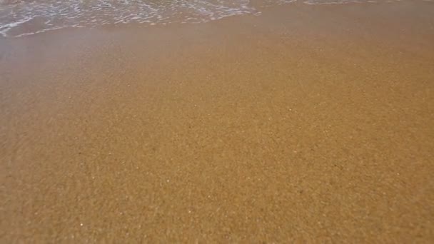 Vagues mousseuses roulant rapidement sur la côte avec du sable doré et se lavant vers l'océan 