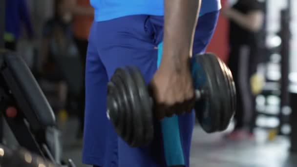 Sporty guys doing alternate dumbbell lift-ups, exercising in group, teamwork — Stock Video