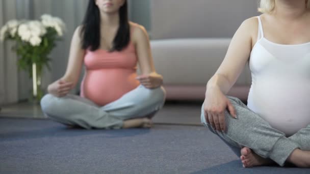 Las futuras mamás visitan la clase de yoga prenatal para mantenerse en forma y tonificar sus músculos — Vídeo de stock