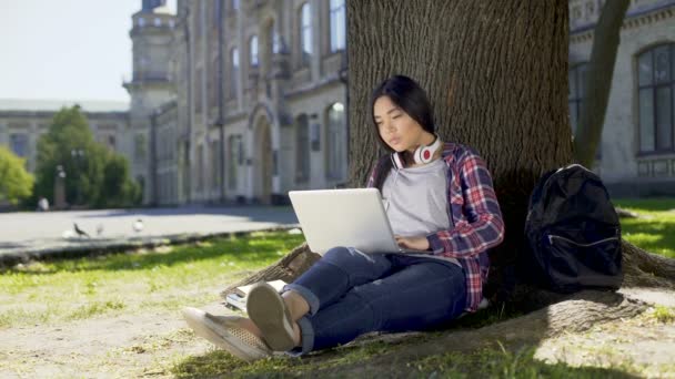 College student siedząc pod drzewem w kampusie, używając laptopa, ostateczna papier do pisania — Wideo stockowe