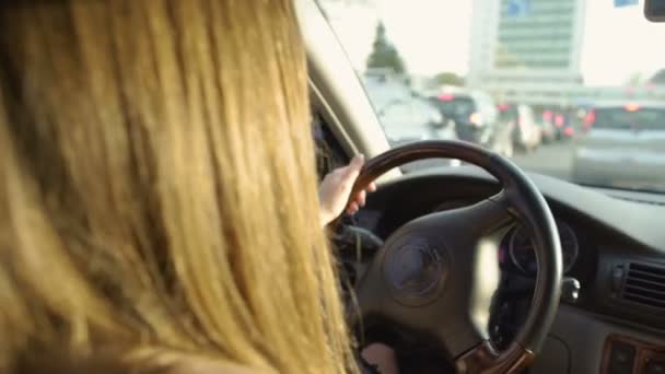Brunette female standing in a traffic jam. Woman driving automobile. Transport — Stock Video