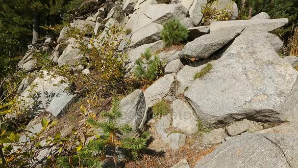 Colina empinada con grandes rocas que yacen en la pendiente, ladera peligrosa, naturaleza aislada — Vídeos de Stock