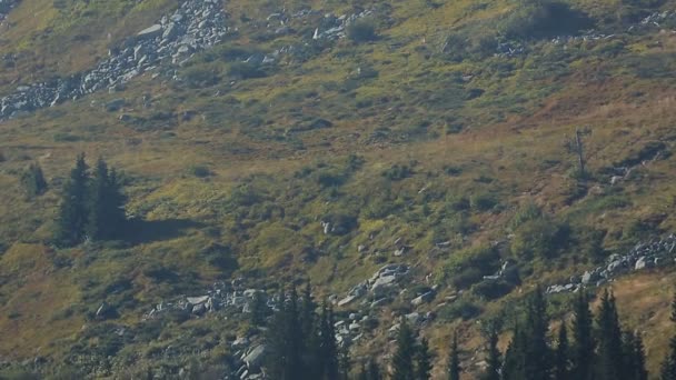 Вершина гір, вкрита скелями, змішаними зі снігом, гірськолижний курорт в літній час — стокове відео