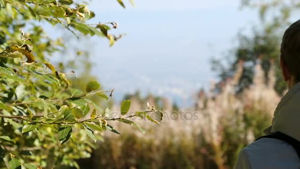 Мужской турист смотрит на городской пейзаж с вершины горы, пышная природа вокруг — стоковое видео