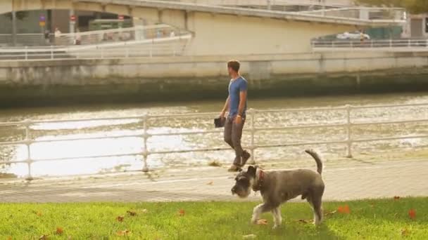 Tipo caminando a lo largo de la costa con su perro corriendo por el césped, puente sobre el río — Vídeos de Stock