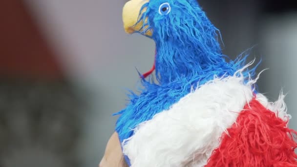 Футбольный фанат из Франции в головном уборе талисмана и наслаждается матчем — стоковое видео