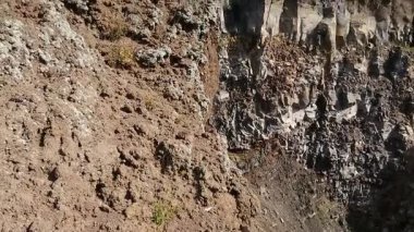 Yosun ve kıt bitki örtüsü, sıra Vezüv İtalya'nın volkanik taş kaplı