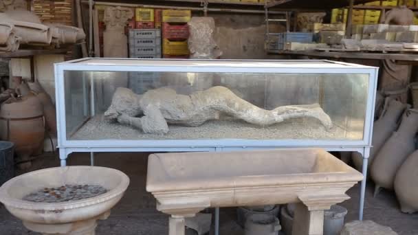 Vittima dell'eruzione del Vesuvio in gesso gettato in vetrina di vetro nella città di Pompei — Video Stock