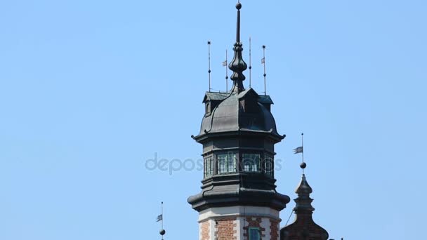 Panorama de la hermosa casa de ladrillo de la Sociedad de Ciencias Naturales en Gdansk — Vídeos de Stock