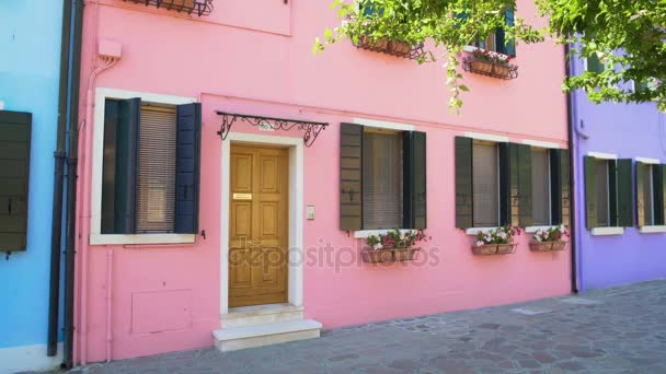 Confortable maison rose avec pots de fleurs, beau bâtiment coloré à Burano, Venise — Video