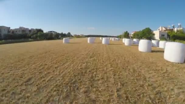 Беспилотник летит над полем, считая тюки сена для отчета о собранных урожаях — стоковое видео