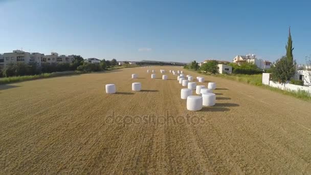 Drone landing na de oogst van de tracking en hooi, landbouw bedrijf vertellen — Stockvideo