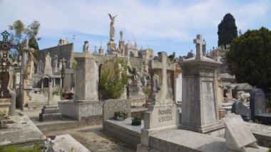 Nice, Fransa - Haziran 2016 yaklaşık: Gezi şehrin. Ünlü kişilerin mezarlar ve Avrupa'nın en iyi mezar eserlerinden bazılarını görünümü