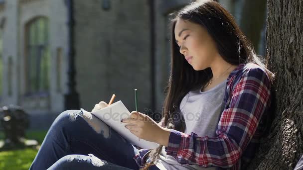 Inspirado jovem asiático artista feminino desenho ao ar livre, estudante apreciando hobby — Vídeo de Stock