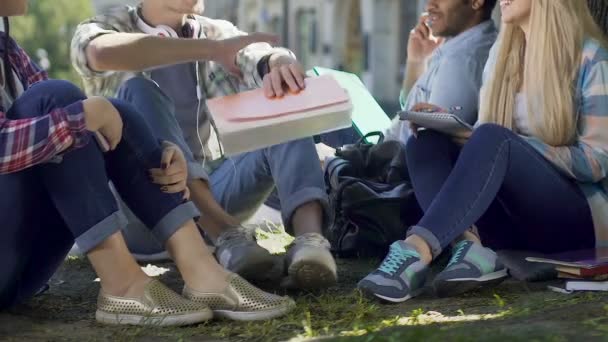 Company of groupmates gathered after classes sitting and chatting in fresh air — Stock Video