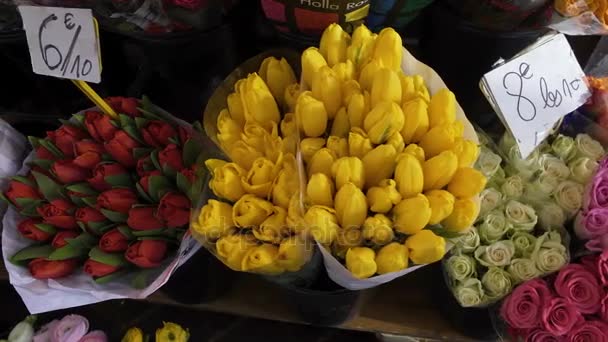 Brett sortiment av vackra färgglada tulpaner på blomsteraffär, marknad, handel — Stockvideo