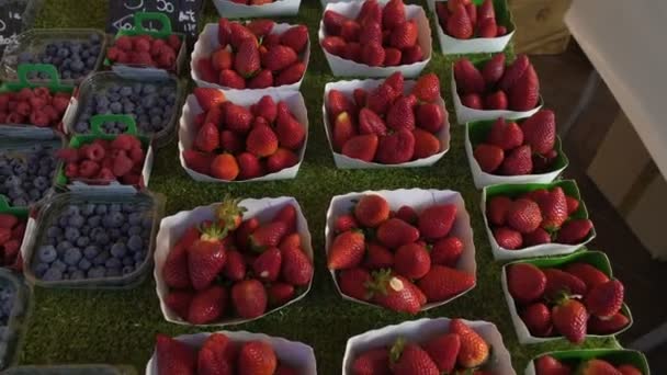 Variedade de amoras frescas e morangos vendidos no mercado local de frutas, comércio — Vídeo de Stock