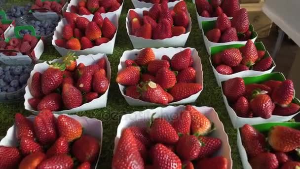 Свежая клубника с ягодных плантаций продается в магазине экологически чистых продуктов питания, на рынке — стоковое видео