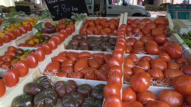 Aldeanos que venden diferentes tipos de tomates en el mercado local de verduras, comercio — Vídeo de stock