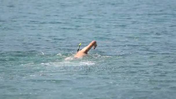 Beginner swimmer in glasses and with tube diving in sea water, active rest — Stock Video