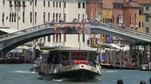 VENECIA, ITALIA - CIRCA JUNIO 2016: Turismo en la ciudad. Waterbus va a lo largo del río en la antigua ciudad con el puente lleno de turistas en la parte posterior — Vídeo de stock