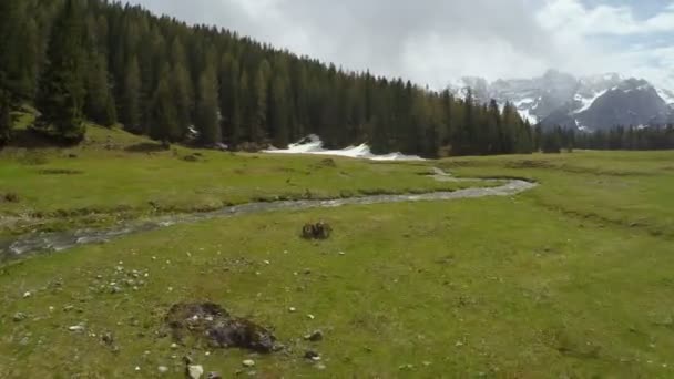 Drohnenflug über grünem Tal mit Rinnsal, Blick auf Dolomiten, kühle Landschaft — Stockvideo