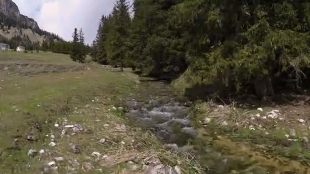 Drone filmando paisaje, cayendo en el suelo y estrellándose, cámara rota — Vídeo de stock