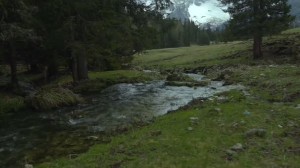 Rasanter Bach fließt grünen Hügel hinunter, Berggletscher schmilzt im Frühling, Natur — Stockvideo