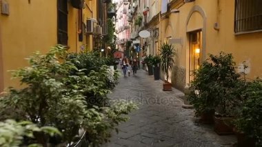 Yerel ikamet cadde boyunca yürüyen iki genç bayan, çalıların üzerinden bakmak