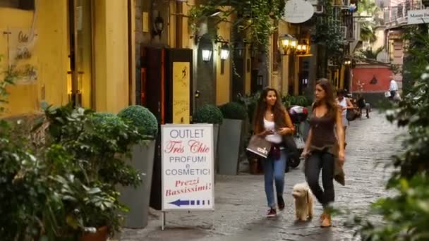 Naples, Italië - Circa juli 2014: Sightseeing in de stad. Jonge vrouwelijke toeristen gaan voor wandeling met hond door stad, winkelen bij boetiek — Stockvideo