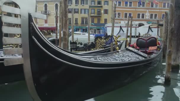 Barcos de góndola de lujo que atraen turistas para una visita romántica a Venecia — Vídeo de stock