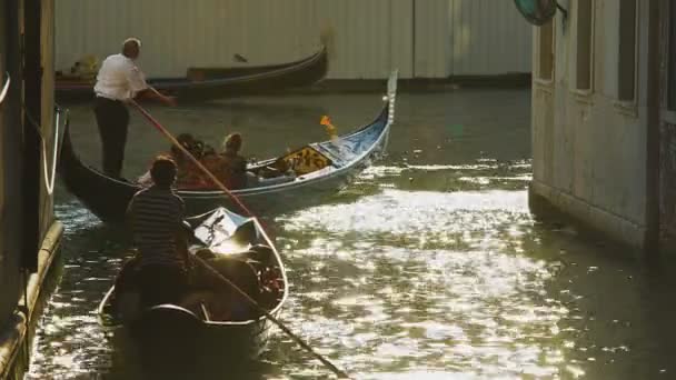 Tunga rörelse av gondoler med turister, vatten trafiklagar i Venedig, Italien — Stockvideo