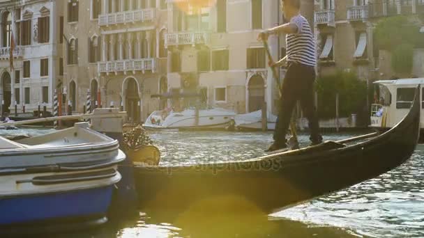 Gondolier dirigiendo magistralmente su barco, mostrando a los turistas atracciones famosas — Vídeo de stock