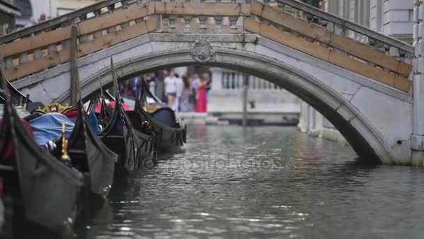 Díszített gondolák sorakoznak vár a turisták az út a Grand Canal, Velence — Stock videók