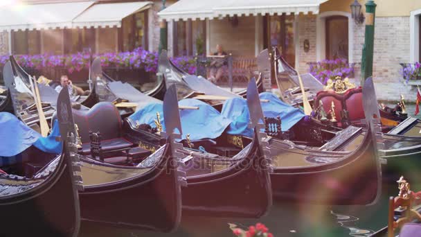 Luxurious gondolas docked at mooring, transport for vip guests or ceremonies — Stock Video