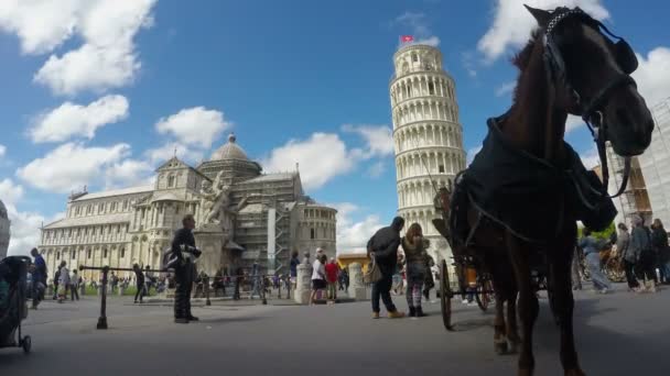 PISA, ITALIA - CIRCA JUNIO 2016: Turismo en la ciudad. Turistas con interés ver la antigua catedral y la Torre Inclinada de Pisa, Italia — Vídeos de Stock