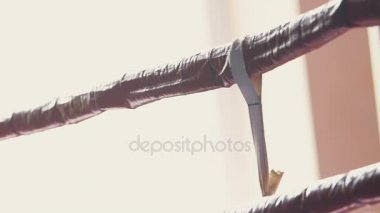 Tur maçında arasında mola sırasında ipler geri kalan sahip yorgun boksör