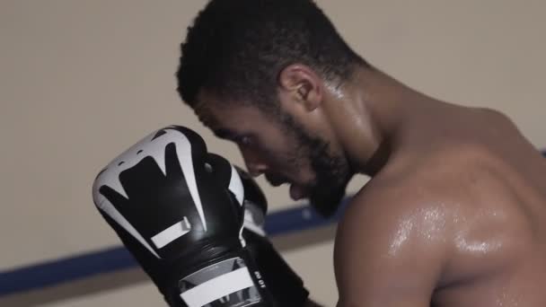 Tired but purposeful fighter is training to deliver blows with coach in ring — Stock Video