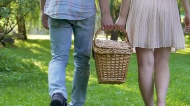 Genç kadın ve Parkta piknik sepeti birlikte, Romantik Tarih taşıyan adam