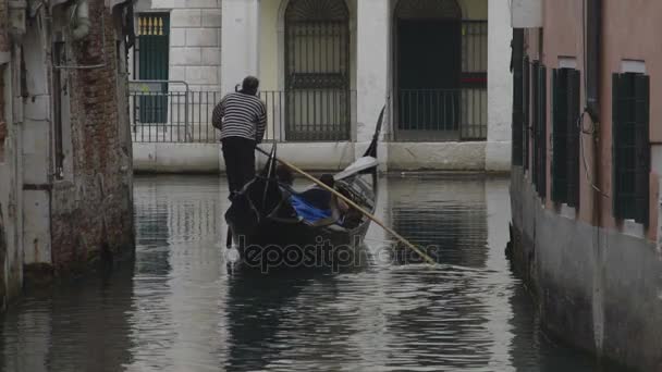 Gondolier avec passagers à bord ramant le long d'un étroit passage d'eau, vue arrière — Video