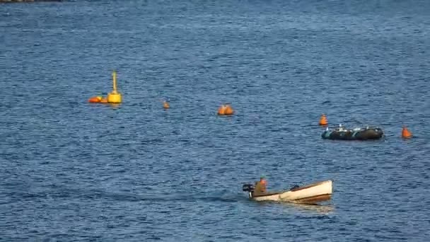 Rescatador en lancha a motor patrullando el espacio acuático, gente flotando en barcos, transporte — Vídeo de stock