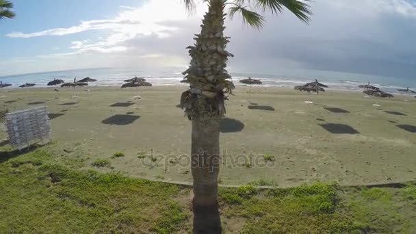 Increíble vista sobre la palma y la playa soleada en la ciudad de Larnaca, Chipre, plano aéreo — Vídeo de stock