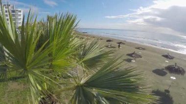 Sabah, Larnaka resort city, Kıbrıs boş kum plajındaki saman şemsiye