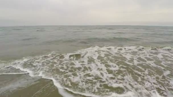 Vue aérienne sur le littoral, vagues s'écrasant sur le rivage, jetant des algues 