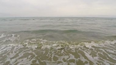 Kirlenmiş deniz yosunu ve dalgalar, ekoloji, turizm ile plaj boyunca havadan görünümü