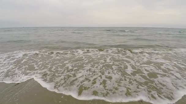 Aerial drönarvy ovan seashore förorenat med tång, smutsigt vatten, ekologi — Stockvideo